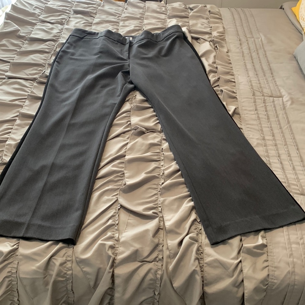 Office pants